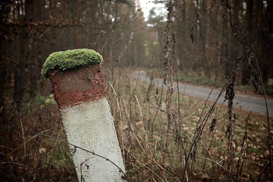 Przystanki komunikacyjne - wniosek