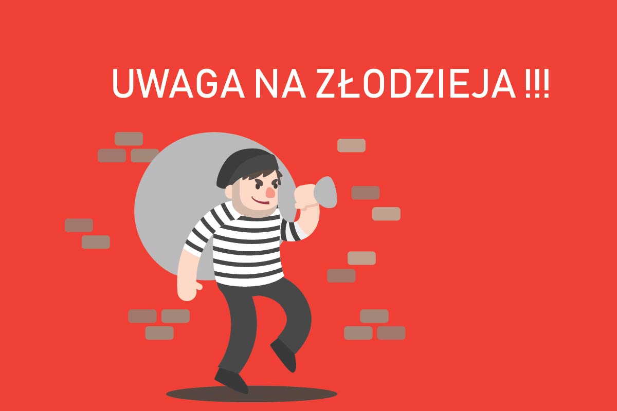 Wtargnięcie złodziei w ciągu dnia 