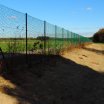 Mieczewo - galeria główna » Sadzenie krzaków - cześć II