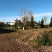 czyn