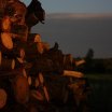 drewno_20091121_1802016116