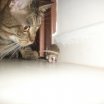 img0167m_20091122_1820059588