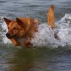 img_0491_20091121_1133047633