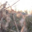 Mieczewo - galeria główna » Czytelnicy nadesłali