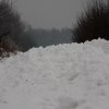 IMG_8616