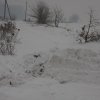 IMG_8619