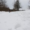 IMG_8901