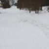 IMG_8903