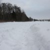 IMG_8909