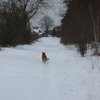 IMG_8915