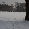 IMG_8923