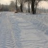 Mieczewo - galeria główna » Droga na Dworzyska zimą