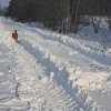 Mieczewo - galeria główna » Droga na Dworzyska zimą