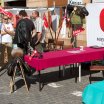 sznw2011_17
