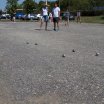 Petanque - Śrem 2015