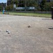 Petanque - Śrem 2015