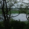IMG_1294