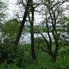 IMG_1297