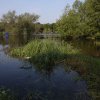 IMG_1338