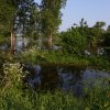 IMG_1339