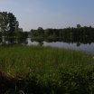 IMG_1343