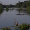 IMG_1346
