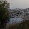 IMG_1697