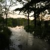 IMG_1759