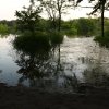 IMG_1764