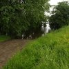 IMG_1773