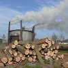 Mieczewo - galeria główna » Wypalarnia węgla drzewnego w Mieczewie